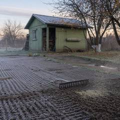 Как посадить газонную траву под зиму на даче