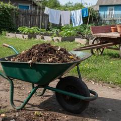 Как выбрать садовую тачку для дачи: одно или два колеса